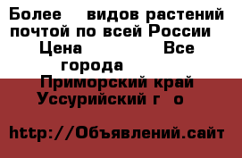 Более200 видов растений почтой по всей России › Цена ­ 100-500 - Все города  »    . Приморский край,Уссурийский г. о. 